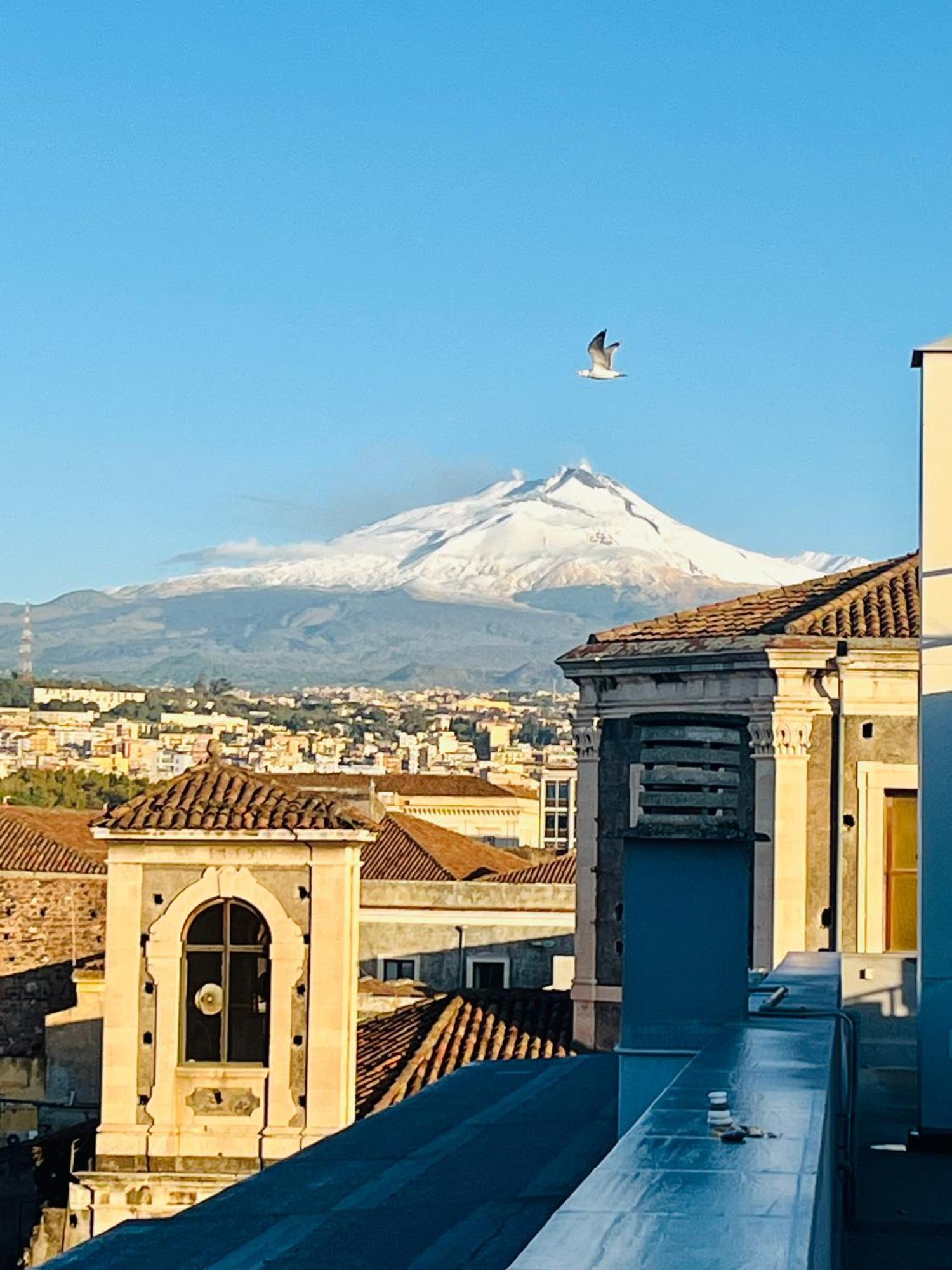 La Terrazza Di Sant'Agata Leilighet CTA Eksteriør bilde